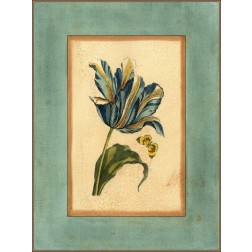 Crackled Spa Blue Tulip II