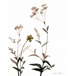 Watermark Wildflowers VII