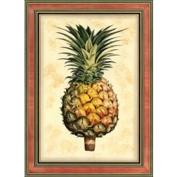 Pineapple Splendor I