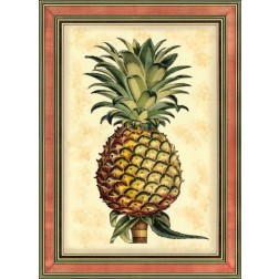 Pineapple Splendor II