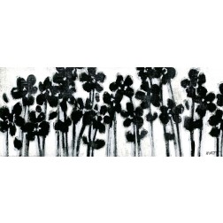 Black Flowers on White II