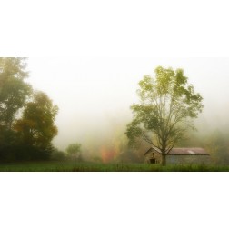 Fog at the Farm