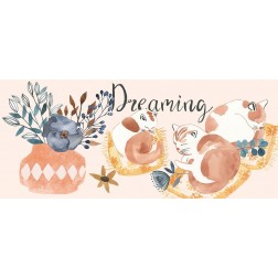 Sleep to Dream Collection D