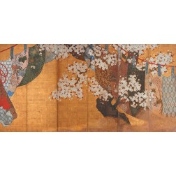 Wind-screen and cherry tree