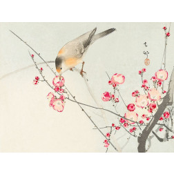 Songbird on blossom Branch