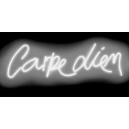 Neon Carpe Diem WB