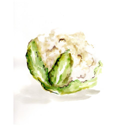 Veggie Sketch plain  VI-Cauliflower