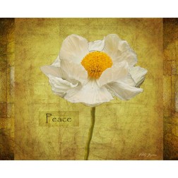 White Poppy Peace