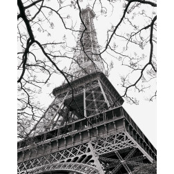 Spring - La Tour Eiffel
