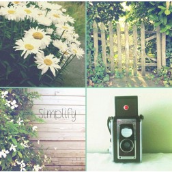 Camera And Daisies SIMPLIFY