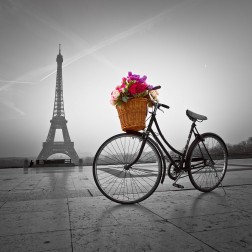 Bicycle with a basket of flowers next to the Eiffel tower