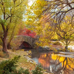 Gapstow bridge in autumn-Central Park-New York city