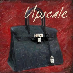 Uplscale Bag
