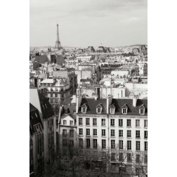 Paris Rooftops VI