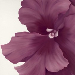 Violet Flower I