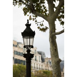 Parisian Lightposts II