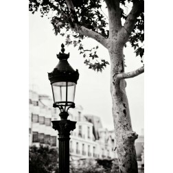 Parisian Lightposts BW II