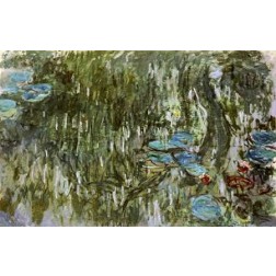 Water Lilies, Reflected Willow