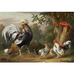 Poultry and Other Birds In The Garden of a Mansion