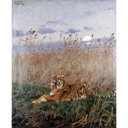 Tiger In The Rushes