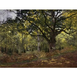 Bodmer Oak, Fontainebleau Forest, 1865