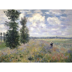 The Poppy Field, Argenteuil