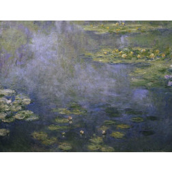 Water Lilies - Nympheas IV