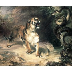 Tiger Confronting a Snake by a Stream
