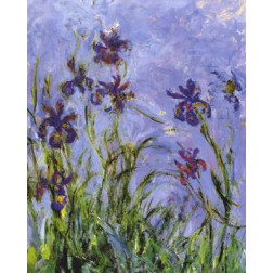 Irises (detail)