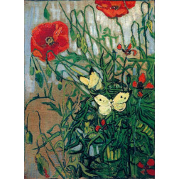 Butterflies And Poppies