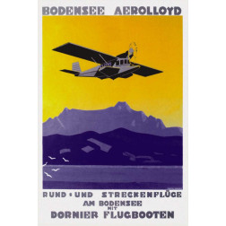 Bodensee Aerolloyd Flying Boat Tours