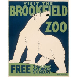 Visit the Brookfield Zoo - Polar Bear