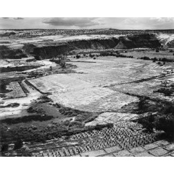 Corn Field, Indian Farm near Tuba City, Arizona, in Rain, 1941