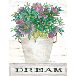 Dream Succulents