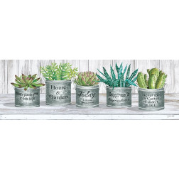 Galvanized Pot Succulents II