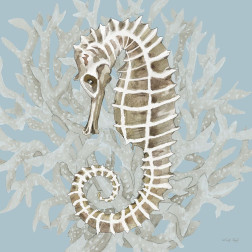 Coral Seahorse II