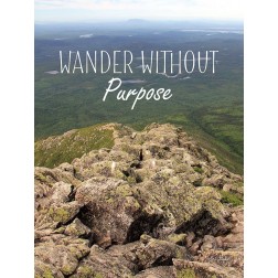 Wander Without Purpose