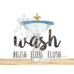 Wash - Brush - Floss - Flush