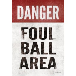 Foul Ball Area