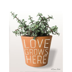 Succulent Love Grows Here