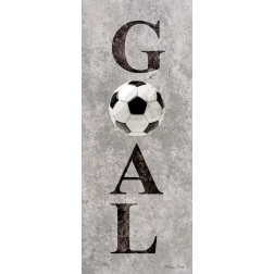 Soccer Goal  