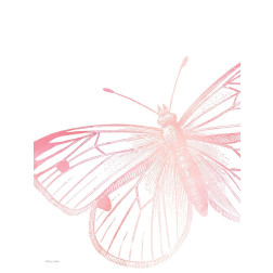 Pink Butterfly II