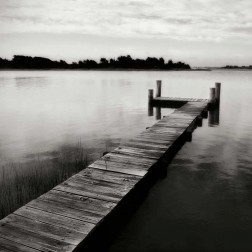 Lonely Dock VI