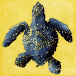 Map Turtle Y Indigo