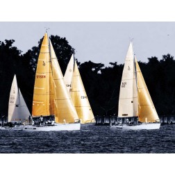 Race at Annapolis II