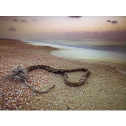Rope lying on beach