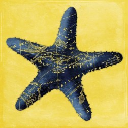 Map Starfish Y Indigo