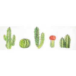 Watercolor Small Cactus Set