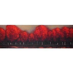 RED TREES BY A DARK DAY