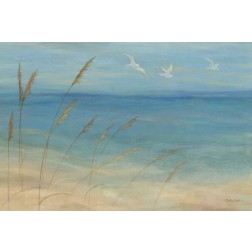 Seagrass Seagulls